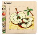 Lagen-Puzzle "Apfel"
