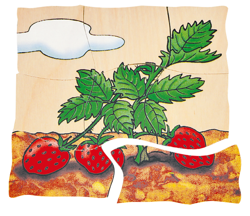Lagen-Puzzle "Erdbeere"