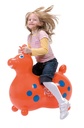 Rody Max, orange