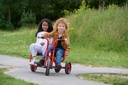 VIKING SideBySide Taxi