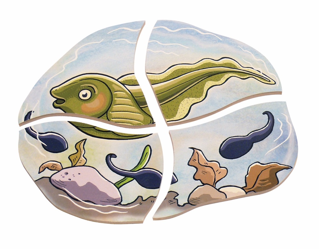 Lagen-Puzzle "Frosch"