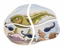 Lagen-Puzzle "Frosch"