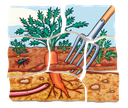 Lagen-Puzzle "Karotte"