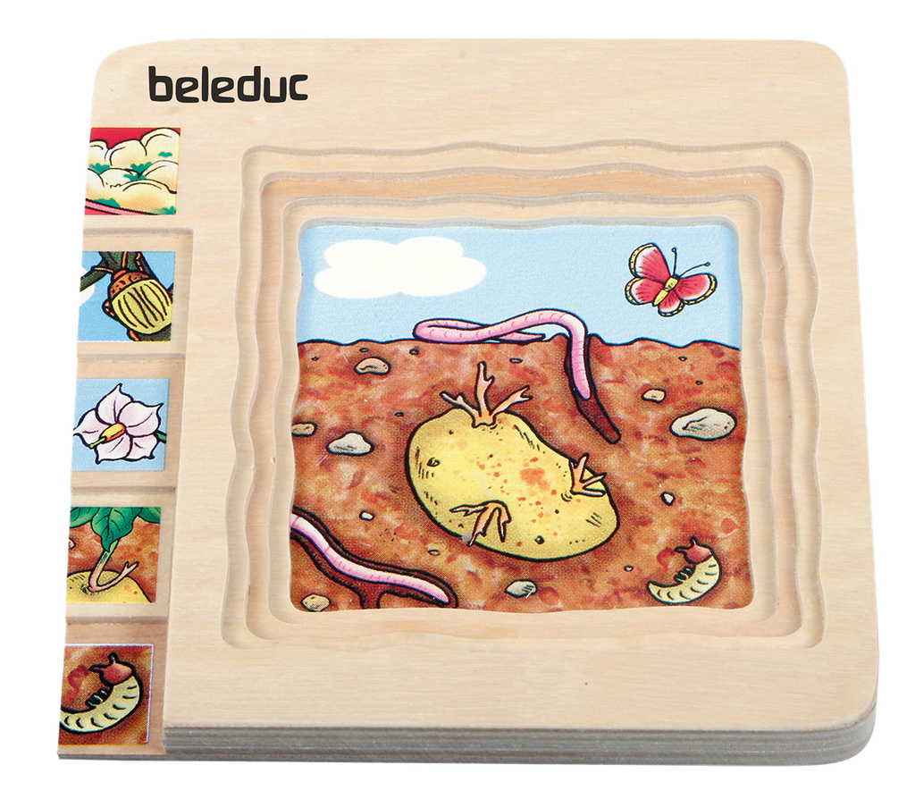 Lagen-Puzzle "Kartoffel"