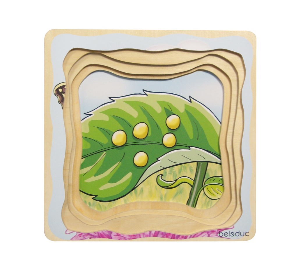 Lagen-Puzzle "Schmetterling"