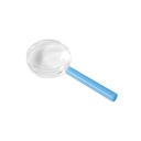 Bunte Lupen 8er Set