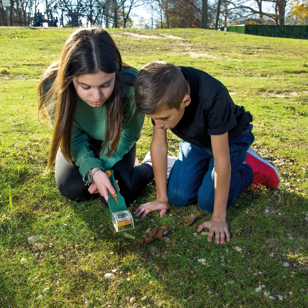Insektenfänger 