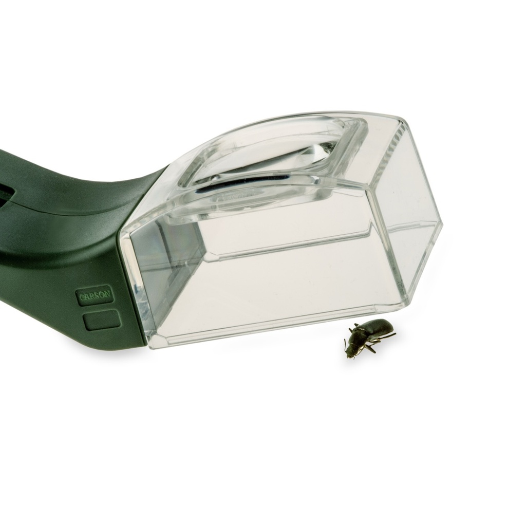 Insektenfänger 