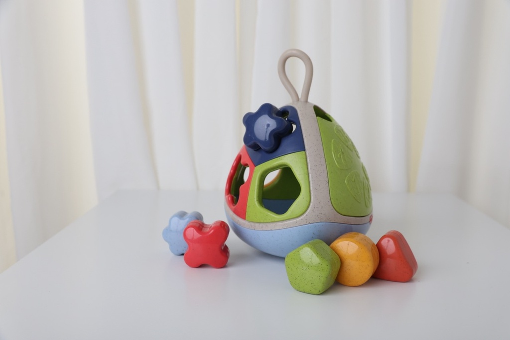 Bio Shape Sorter