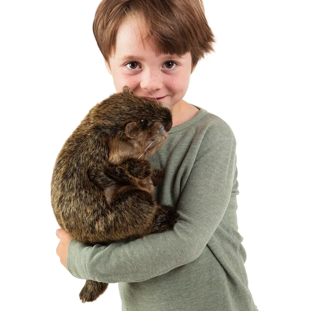 Groß (105362_3).webp