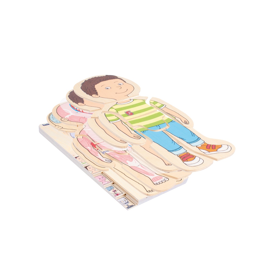 Lagen-Puzzle "Dein Körper Junge"