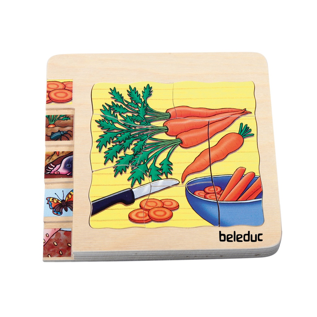 Lagen-Puzzle "Karotte"