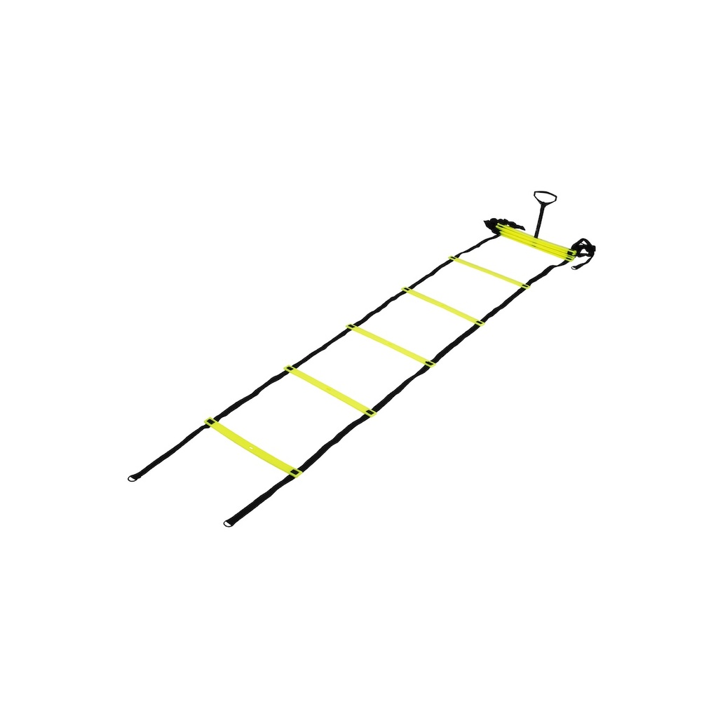 Agility Leiter - Einfach
