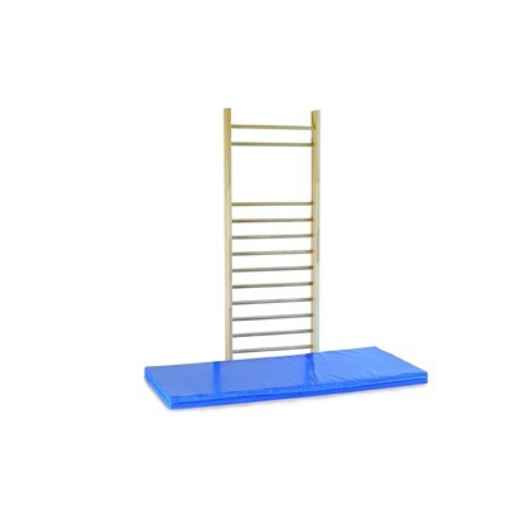 Sprossenwand 260x100cm, Einzelfeld, DIN 16 Sprossen, 1.+3. Sprosse vorgelagert, mit Leerfeld, inkl. Befest. Material^