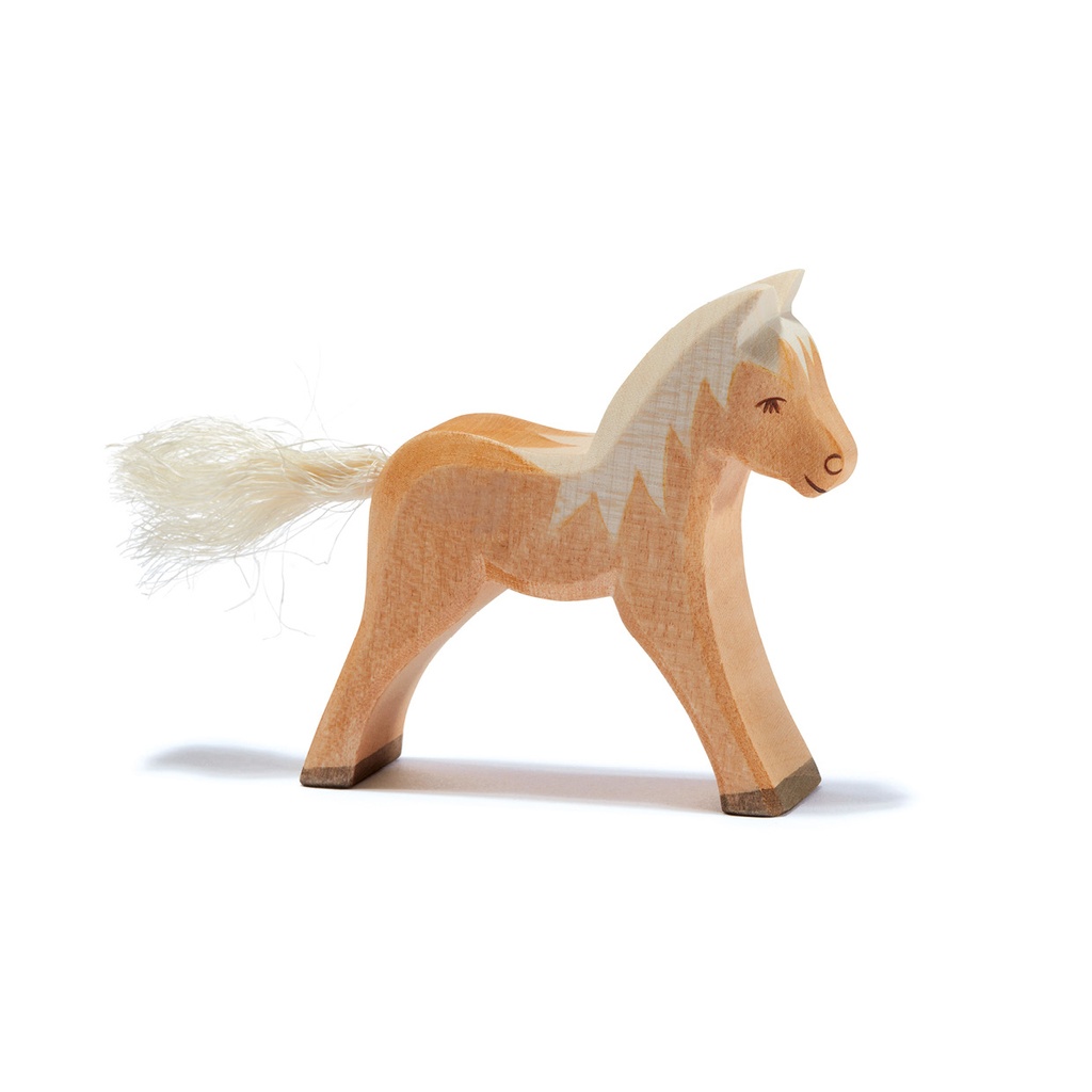 Haflinger Fohlen