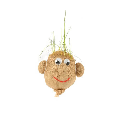 [114037] Grasköpfe 12er Set 