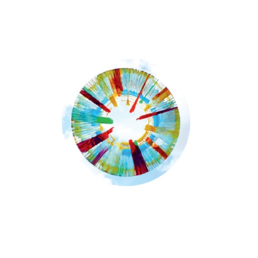 [113007] Rundfolie - 50er Set