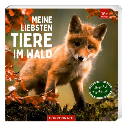 [978-3-649-64548-1] Meine liebsten Tiere im Wald